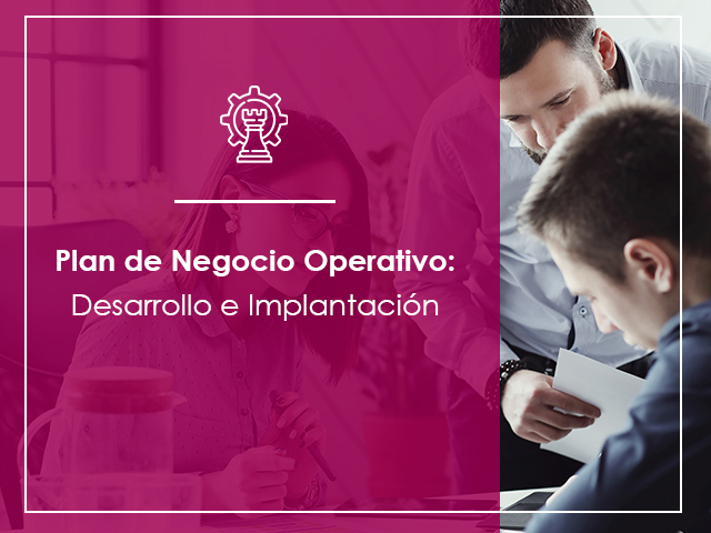 plan de negocio operativo